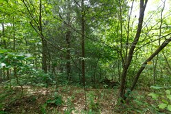 property photo for Springlake Plat 5 Tract 298, 0.19 acres for sale in Miller County, Missouri