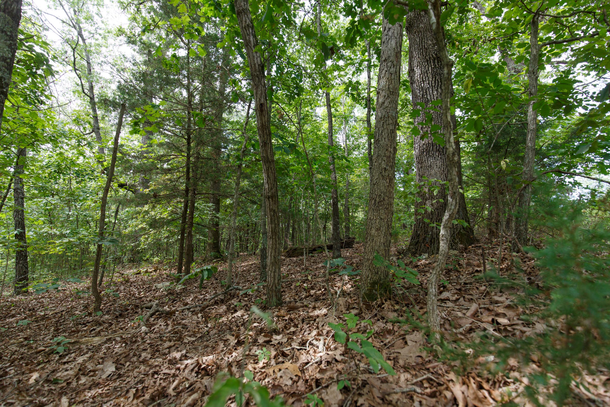 Tract 344 at Springlake in Miller County, Missouri