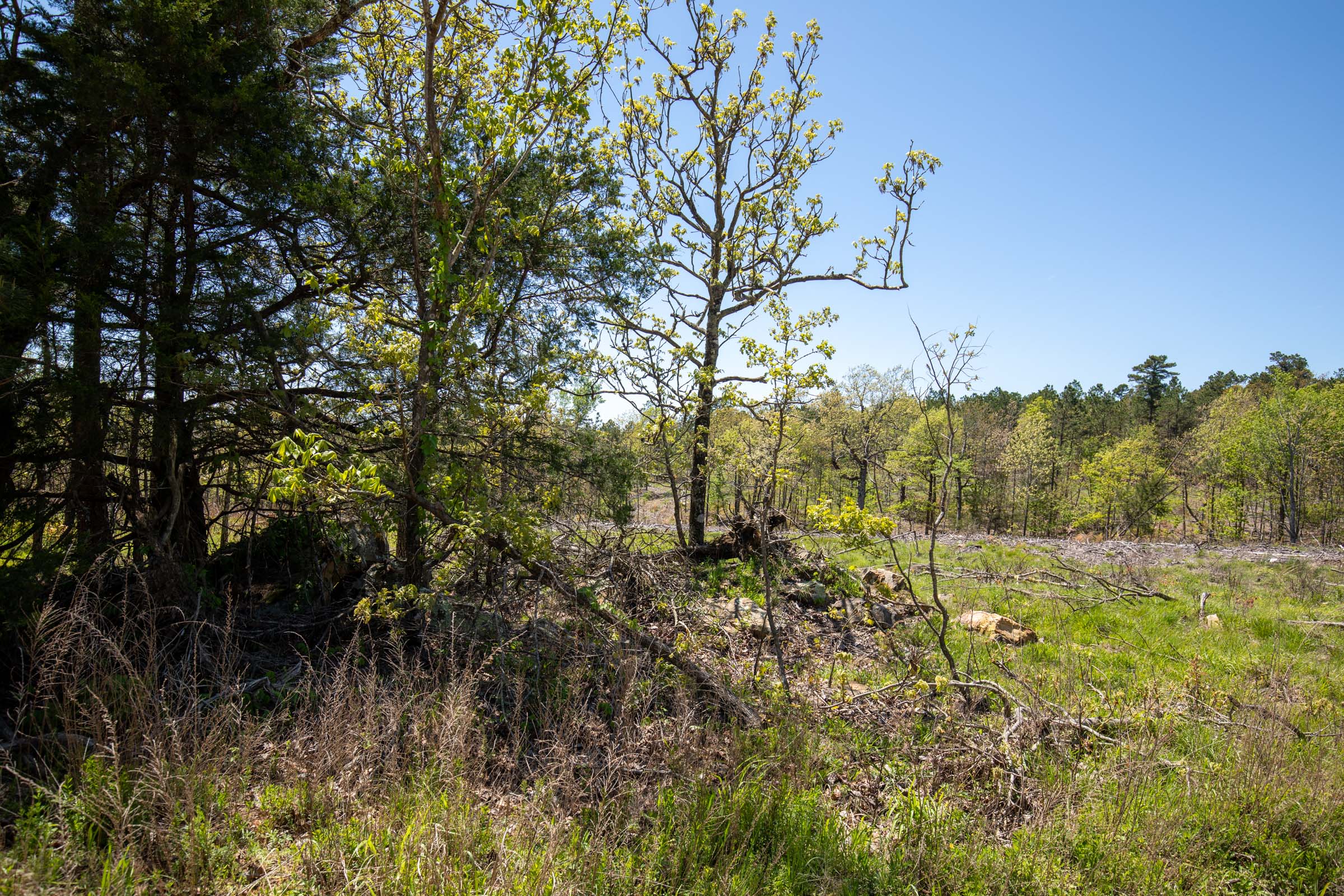Tract 1 at Eagles Nest Ranch in Pushmataha County, Oklahoma