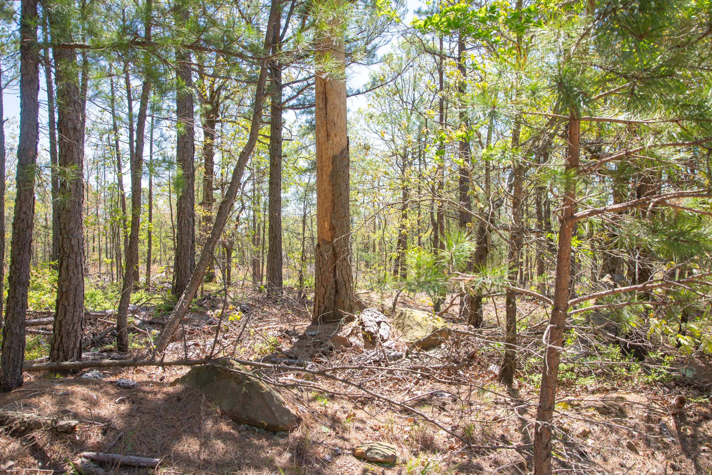 Tract 10 at Eagles Nest Ranch in Pushmataha County, Oklahoma