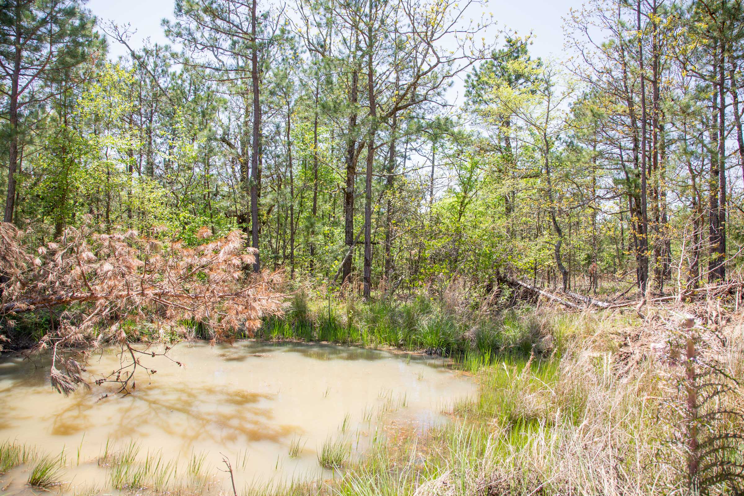 Tract 14 at Eagles Nest Ranch in Pushmataha County, Oklahoma