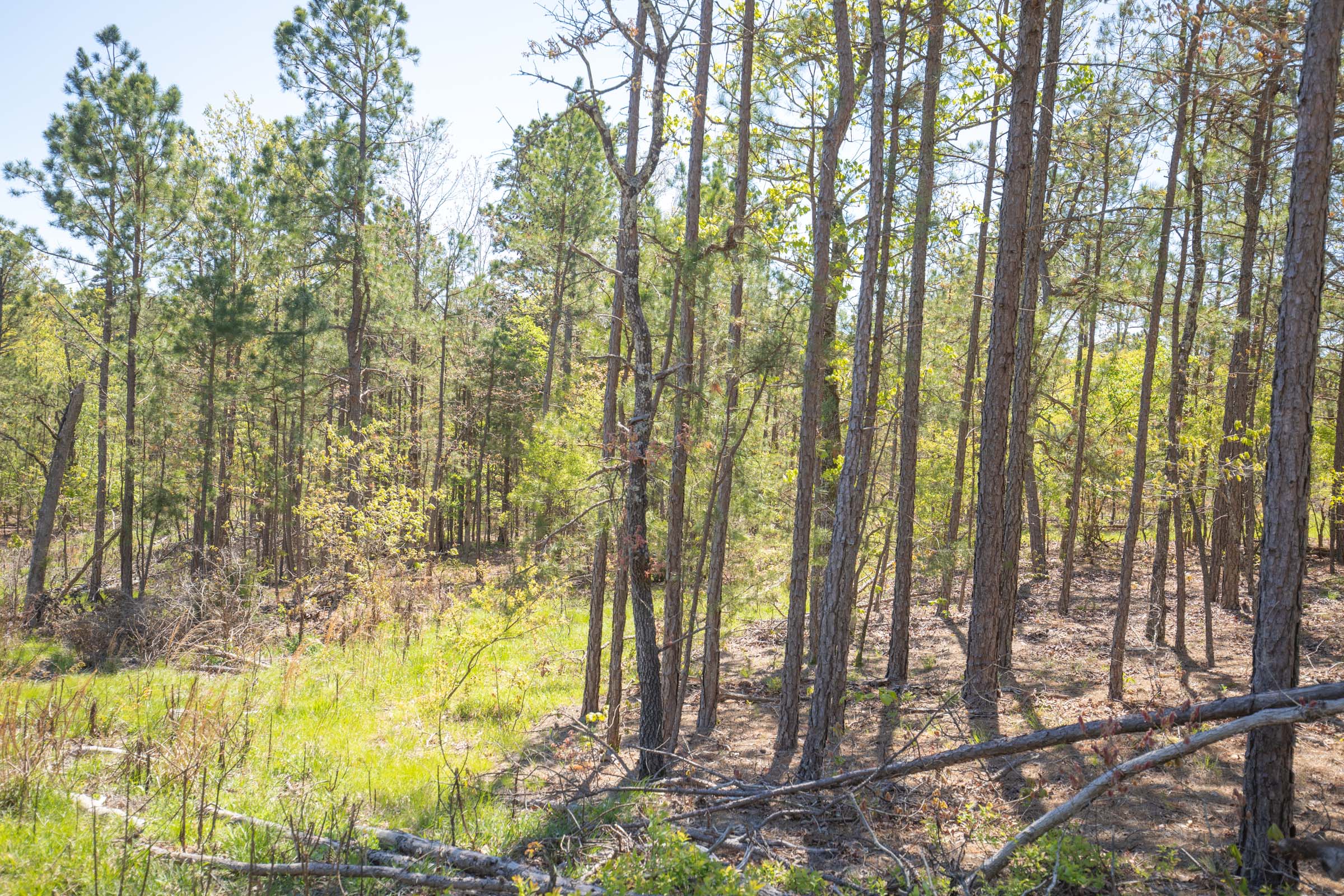 Tract 16 at Eagles Nest Ranch in Pushmataha County, Oklahoma