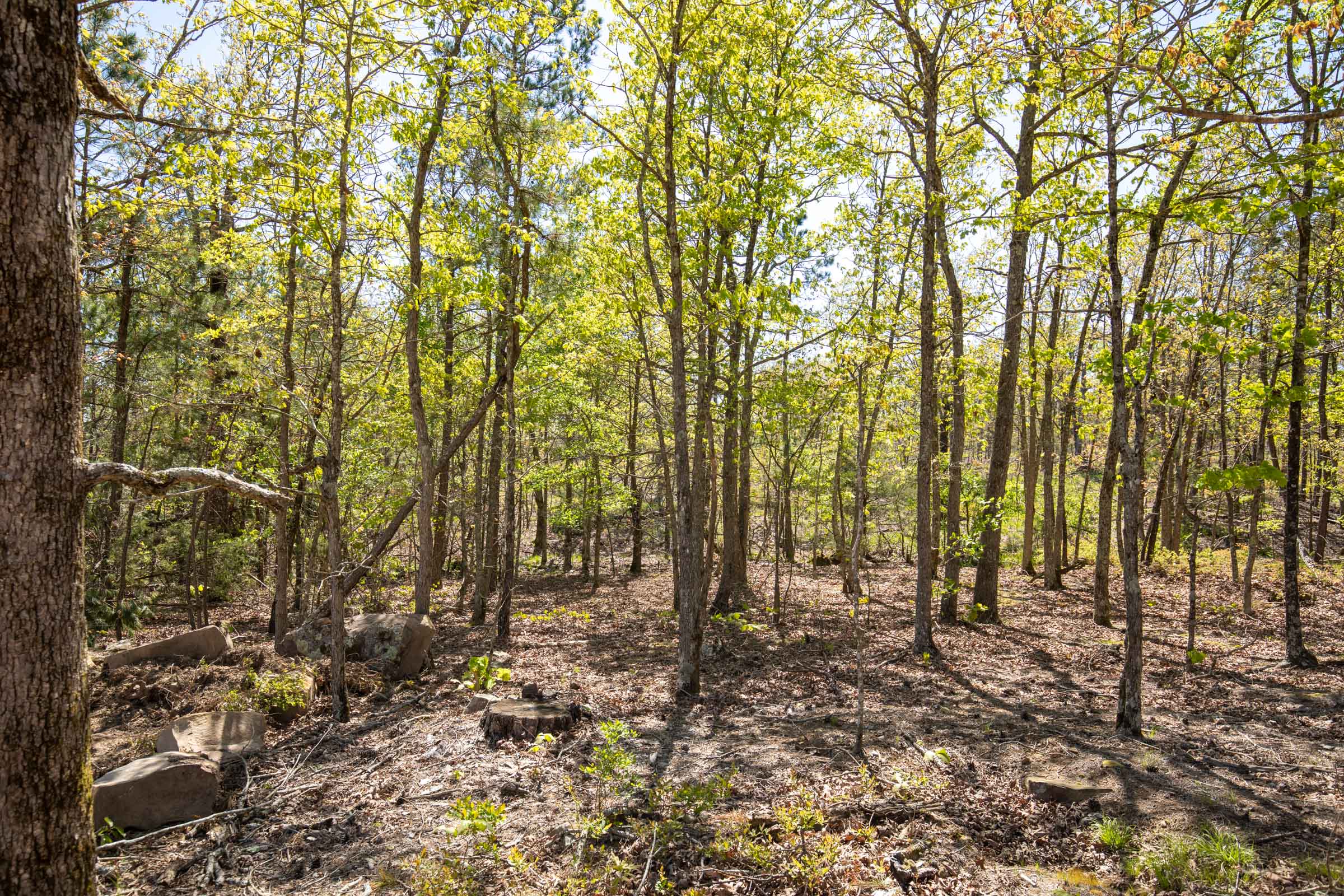 Tract 19 at Eagles Nest Ranch in Pushmataha County, Oklahoma