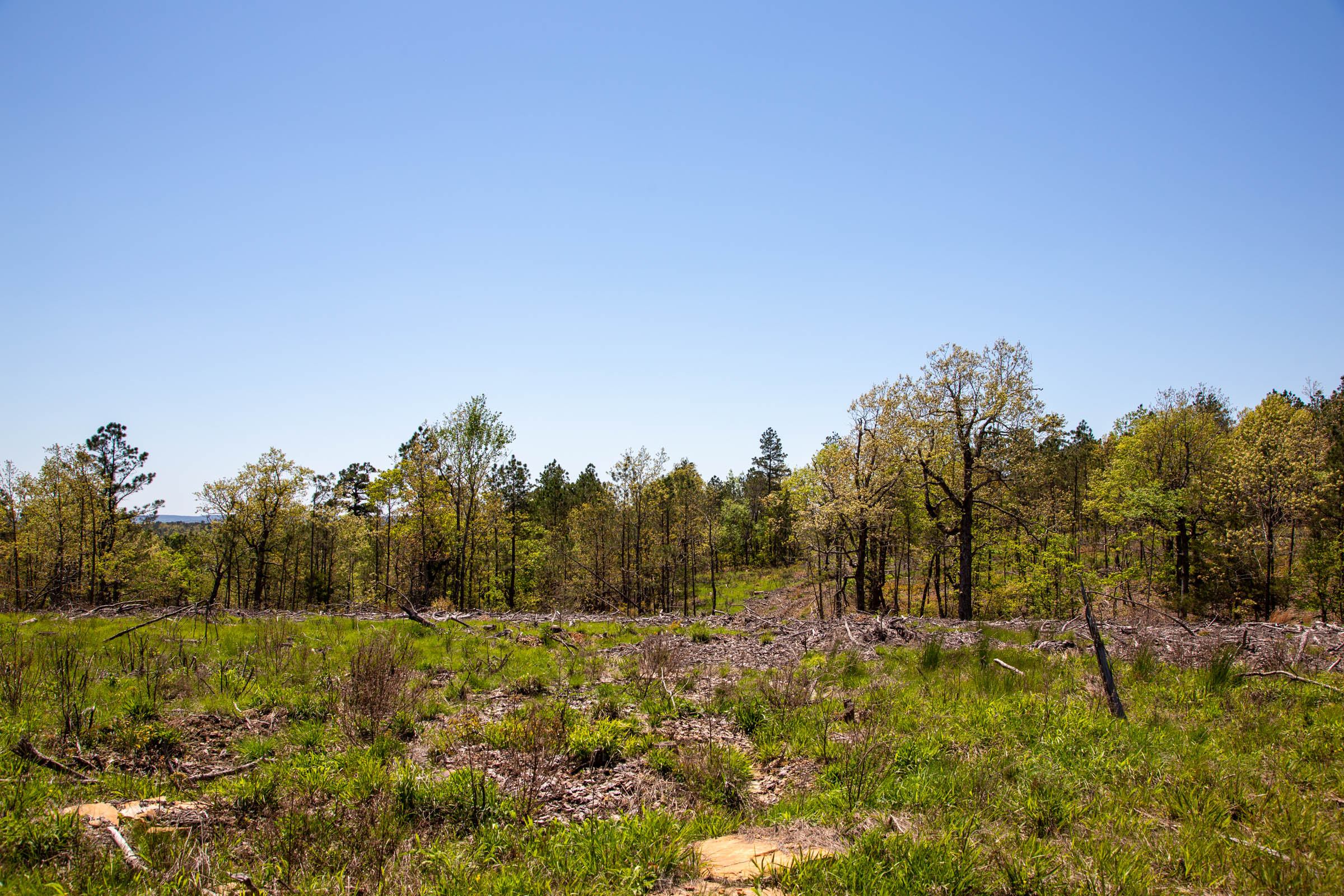 Tract 2 at Eagles Nest Ranch in Pushmataha County, Oklahoma