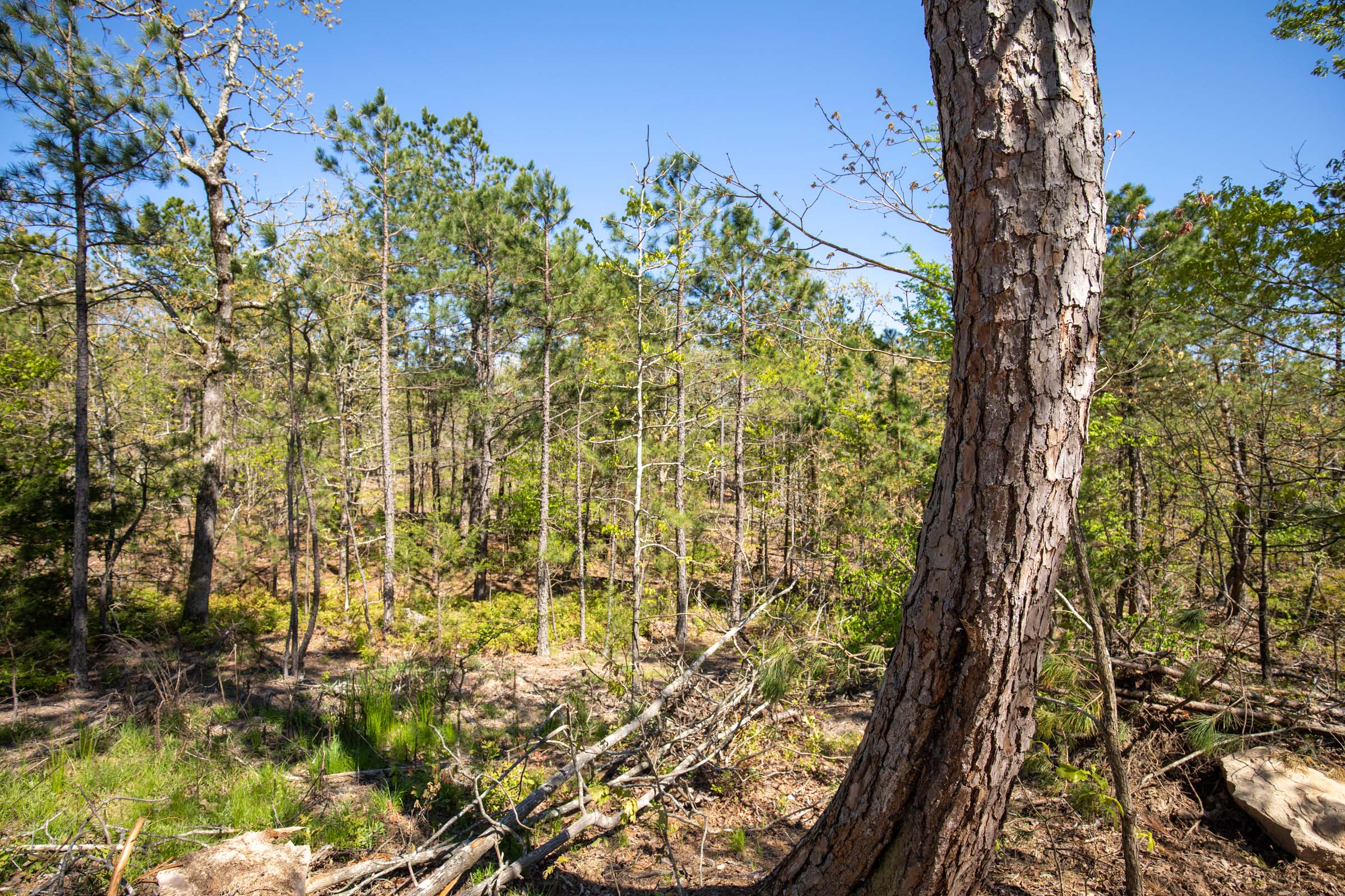 Tract 20 at Eagles Nest Ranch in Pushmataha County, Oklahoma