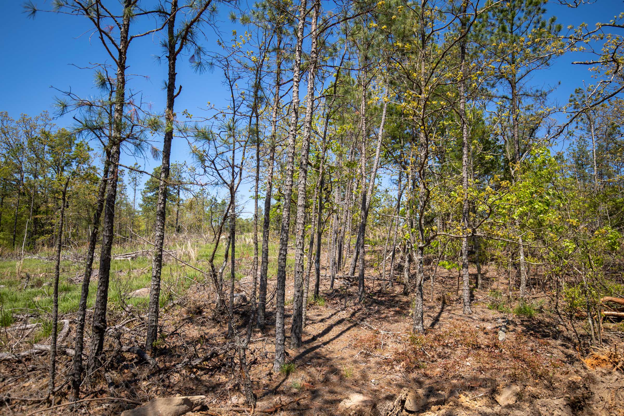 Tract 22 at Eagles Nest Ranch in Pushmataha County, Oklahoma
