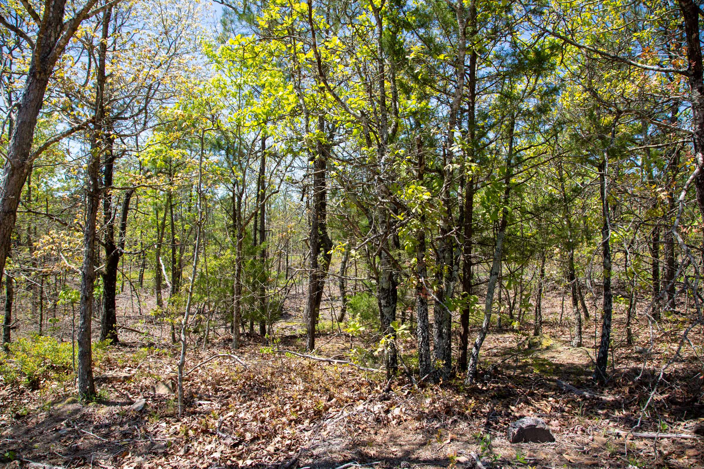 Tract 23 at Eagles Nest Ranch in Pushmataha County, Oklahoma