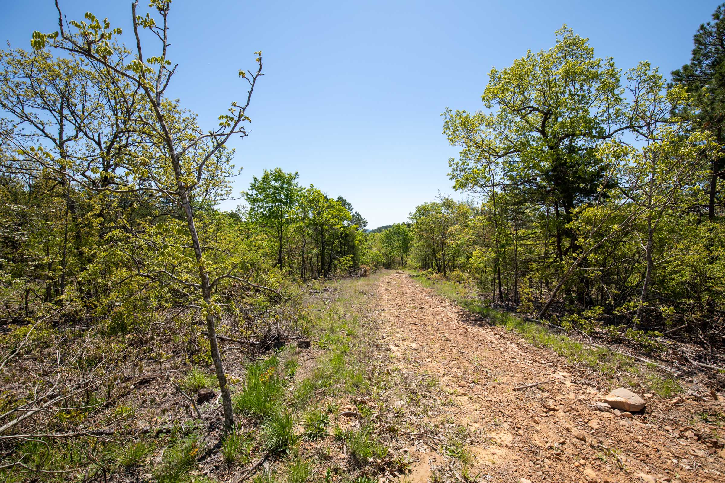 Tract 25 at Eagles Nest Ranch in Pushmataha County, Oklahoma