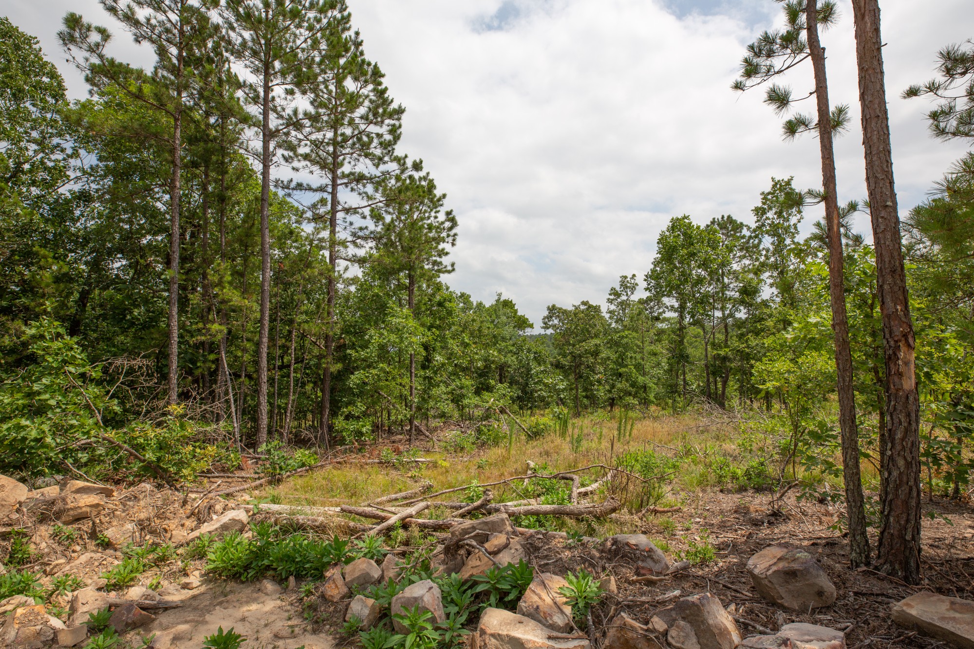 Tract 27 at Eagles Nest Ranch in Pushmataha County, Oklahoma