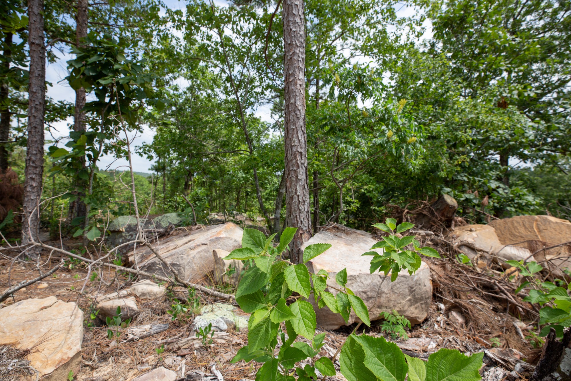 Tract 28 at Eagles Nest Ranch in Pushmataha County, Oklahoma