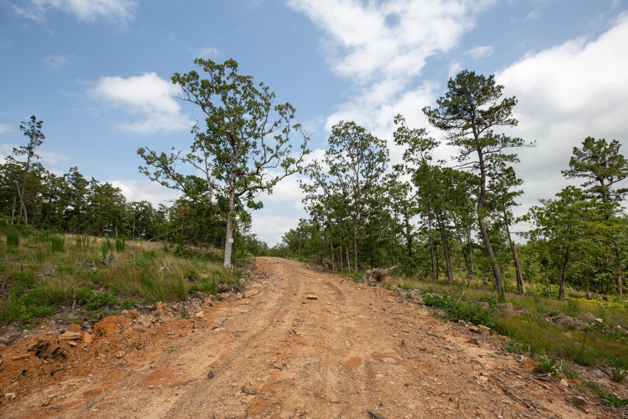 Tract 29 at Eagles Nest Ranch in Pushmataha County, Oklahoma