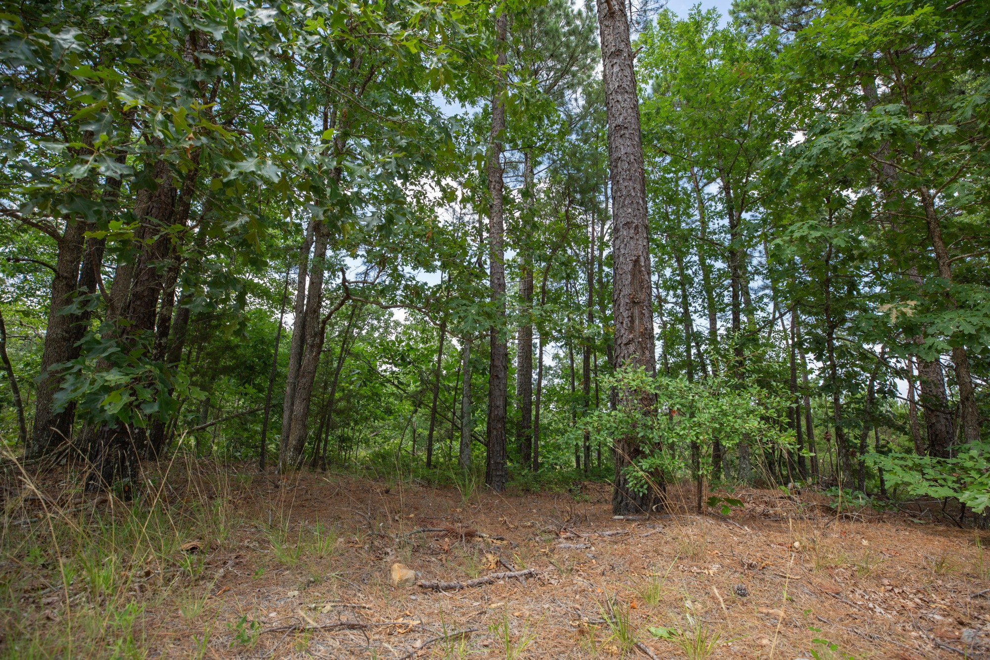 Tract 30 at Eagles Nest Ranch in Pushmataha County, Oklahoma