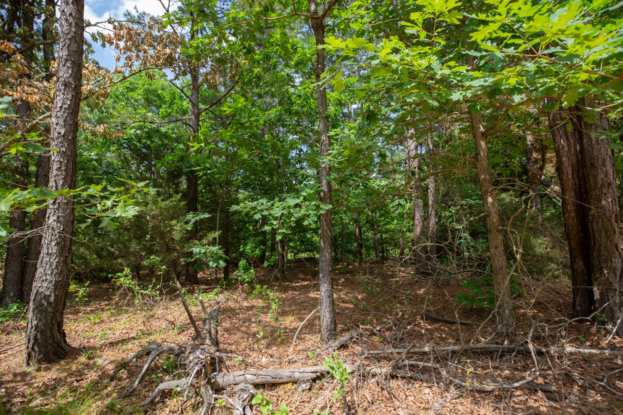 Tract 31 at Eagles Nest Ranch in Pushmataha County, Oklahoma