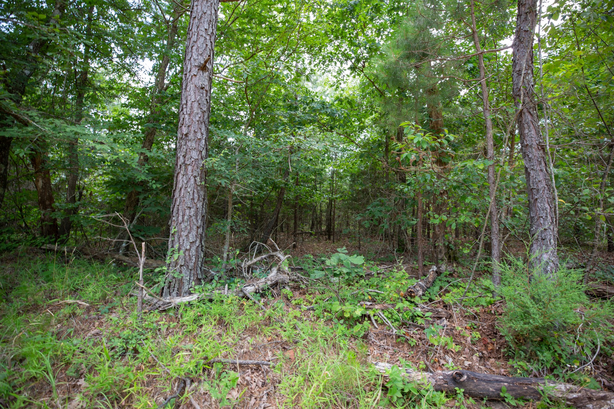 Tract 32 at Eagles Nest Ranch in Pushmataha County, Oklahoma