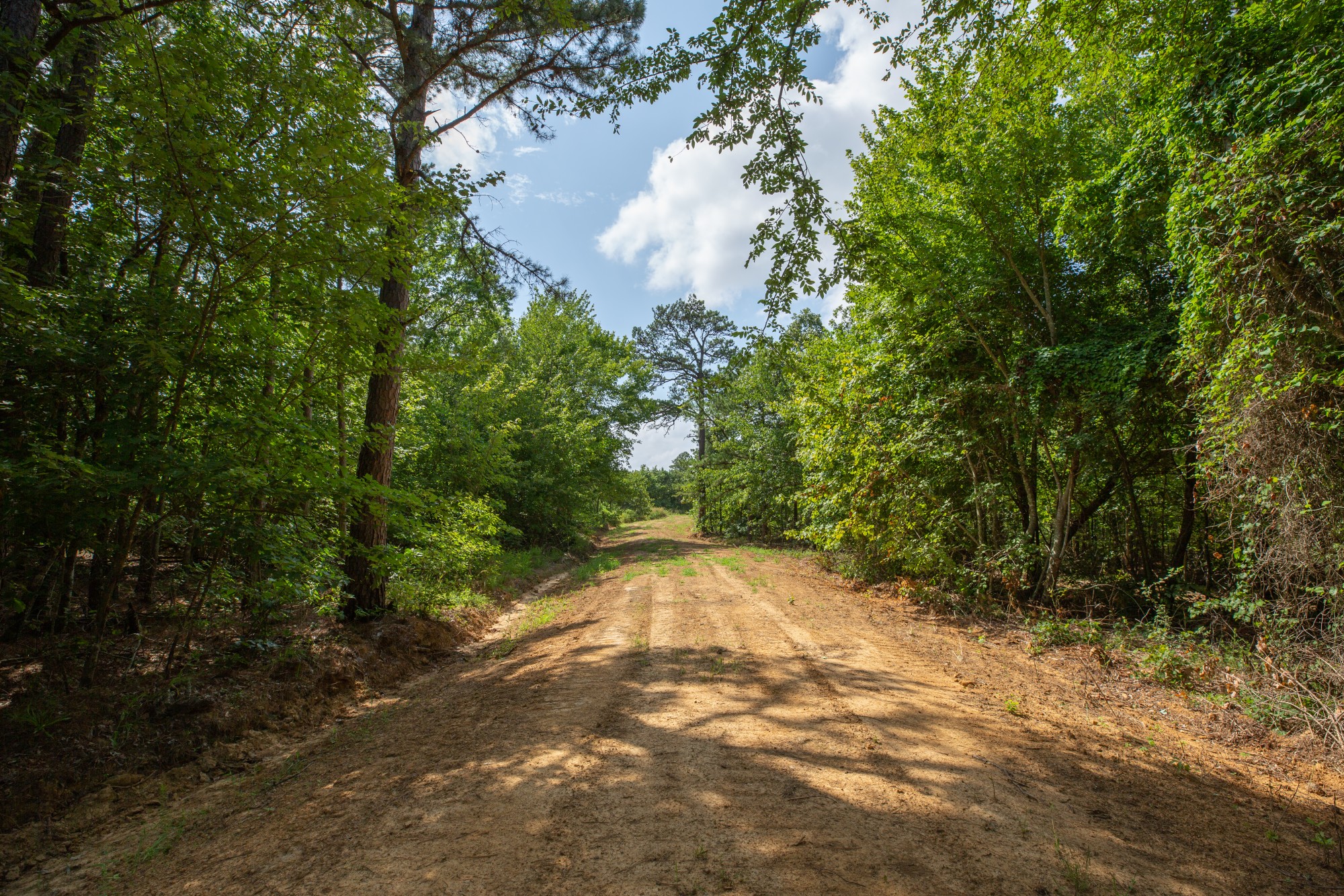 Tract 33 at Eagles Nest Ranch in Pushmataha County, Oklahoma