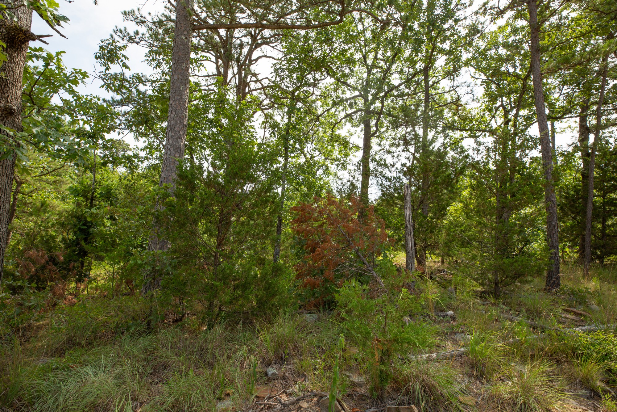 Tract 34 at Eagles Nest Ranch in Pushmataha County, Oklahoma