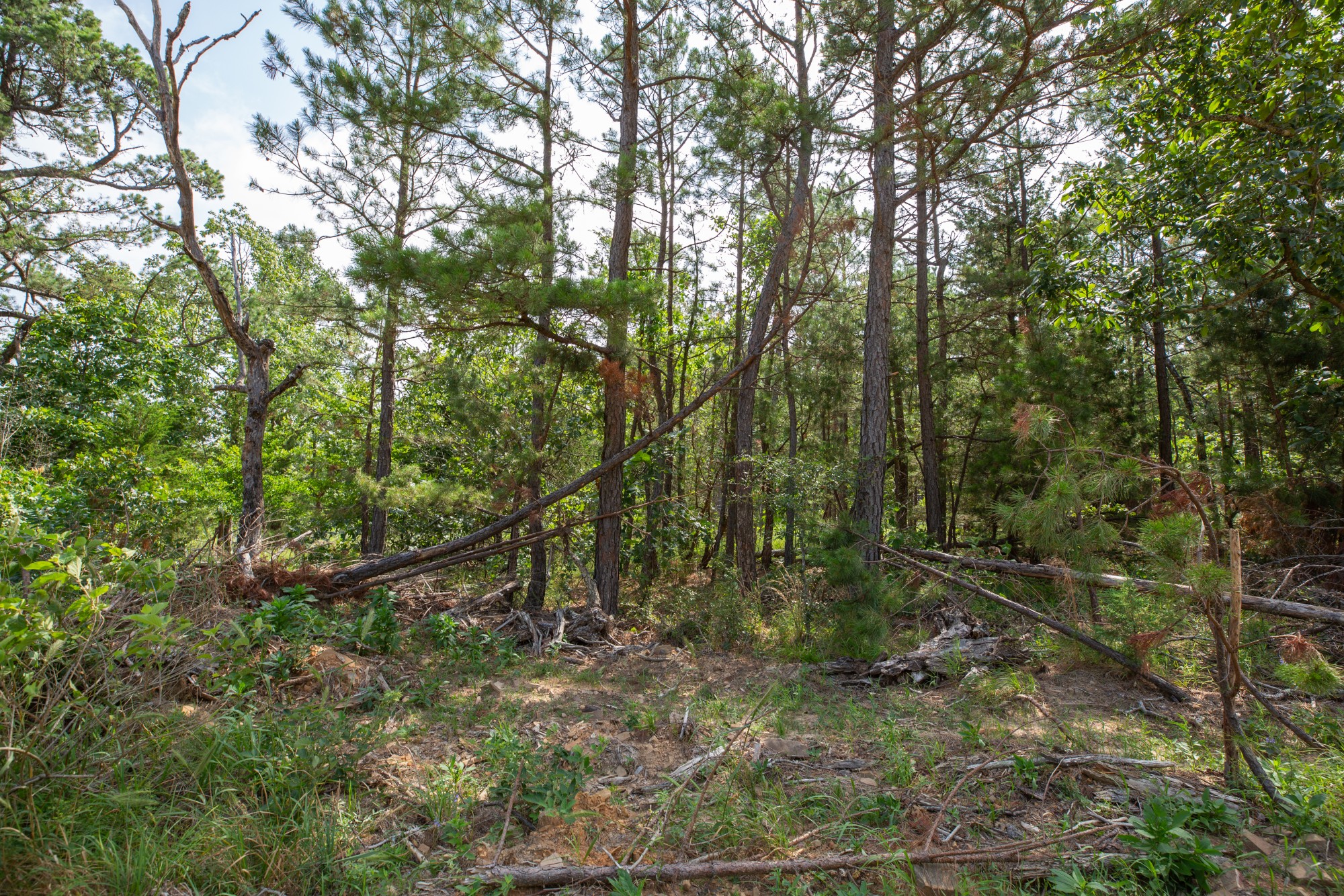 Tract 35 at Eagles Nest Ranch in Pushmataha County, Oklahoma