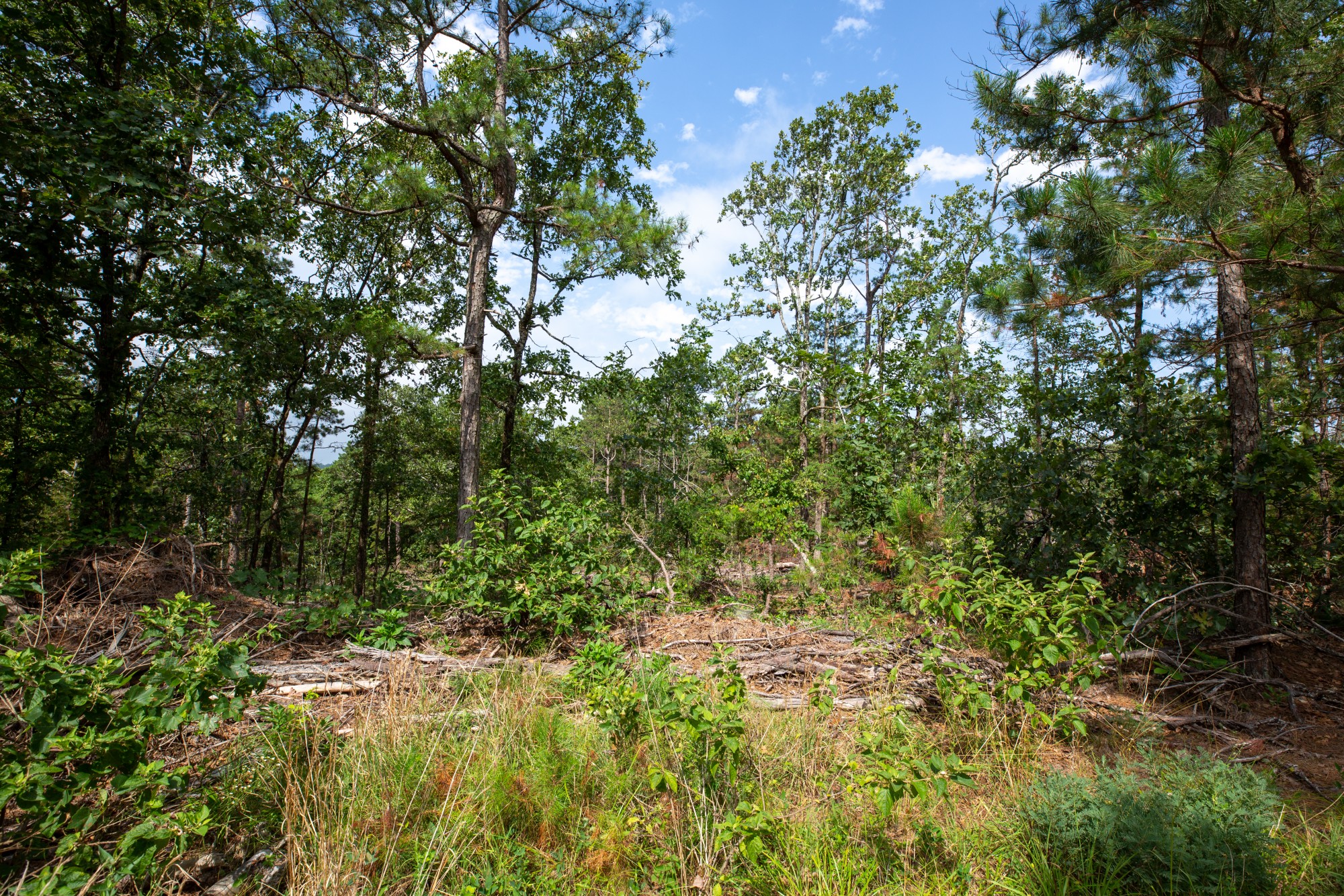 Tract 36 at Eagles Nest Ranch in Pushmataha County, Oklahoma