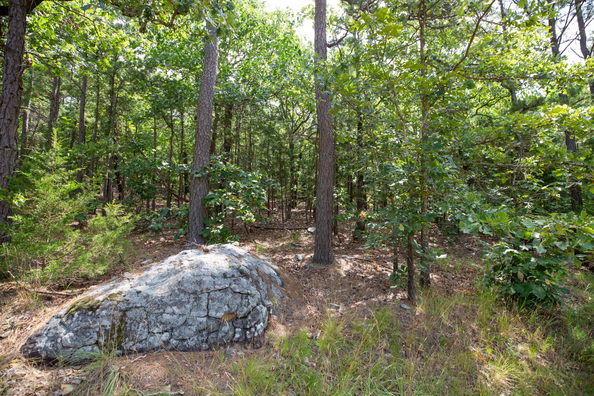 Tract 37 at Eagles Nest Ranch in Pushmataha County, Oklahoma
