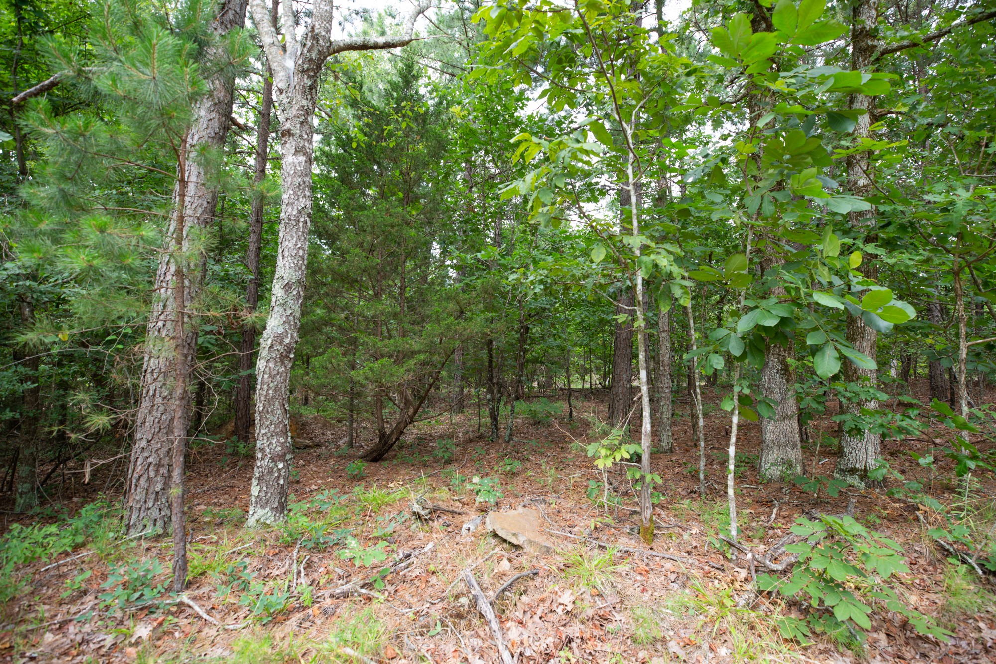 Tract 39 at Eagles Nest Ranch in Pushmataha County, Oklahoma