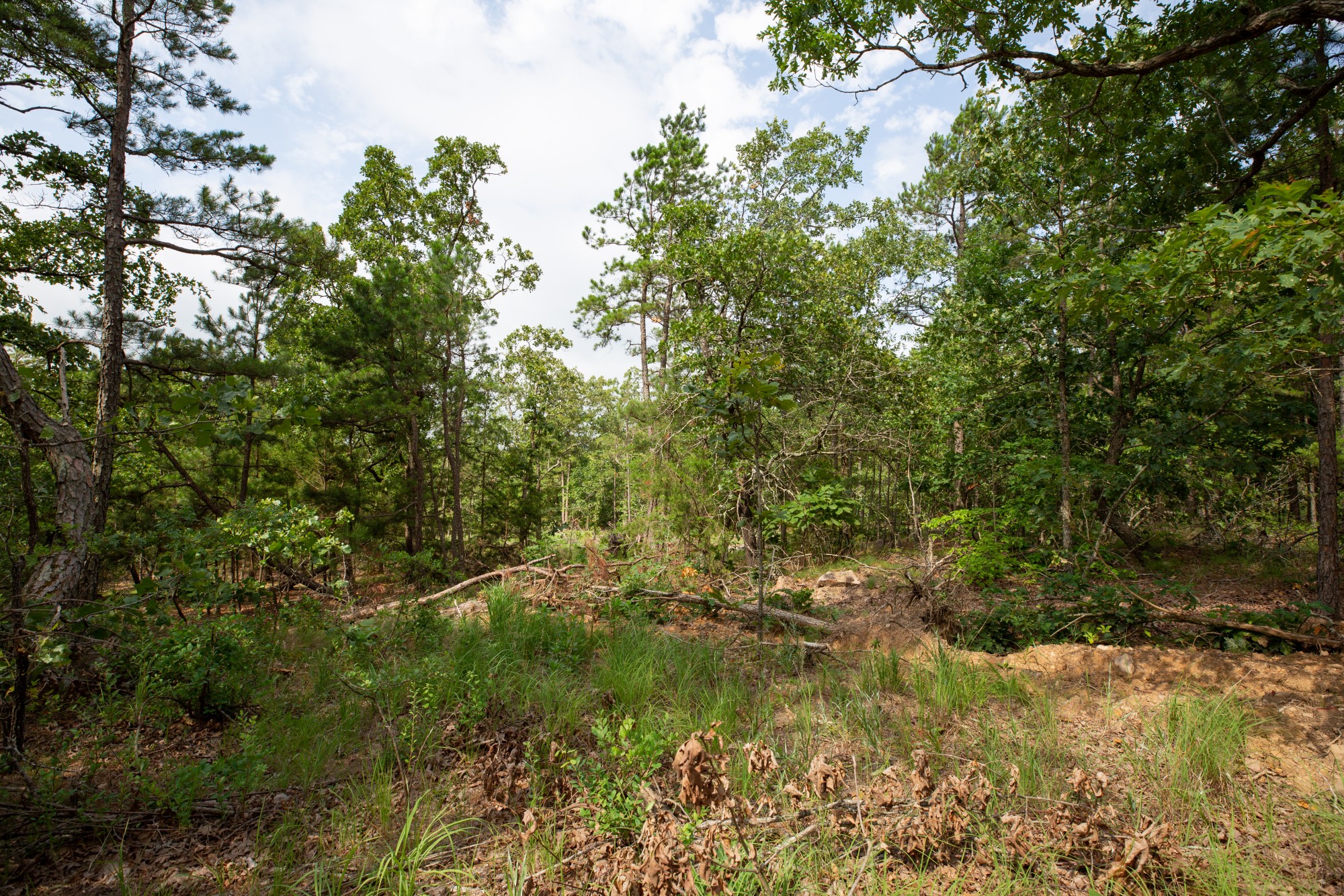 Tract 40 at Eagles Nest Ranch in Pushmataha County, Oklahoma