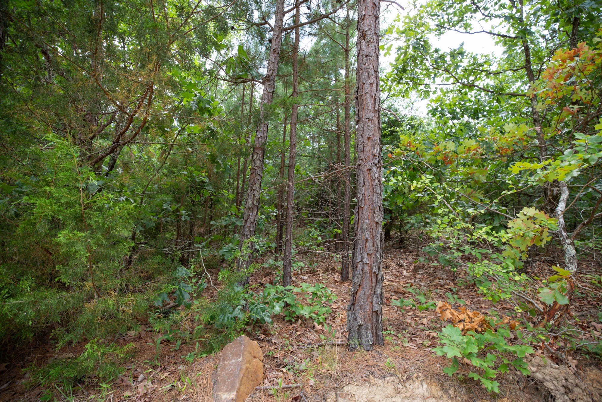Tract 42 at Eagles Nest Ranch in Pushmataha County, Oklahoma