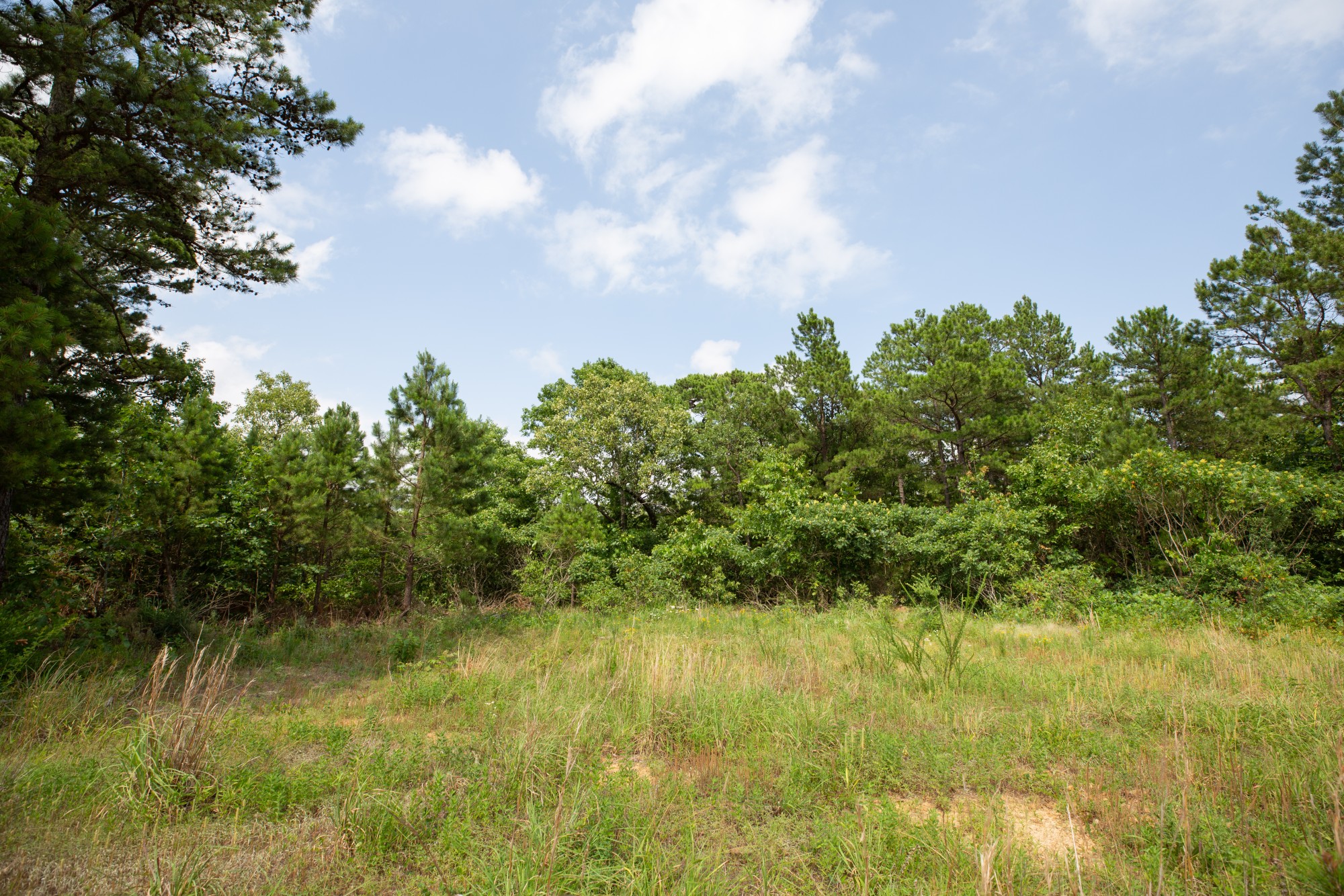 Tract 43 at Eagles Nest Ranch in Pushmataha County, Oklahoma