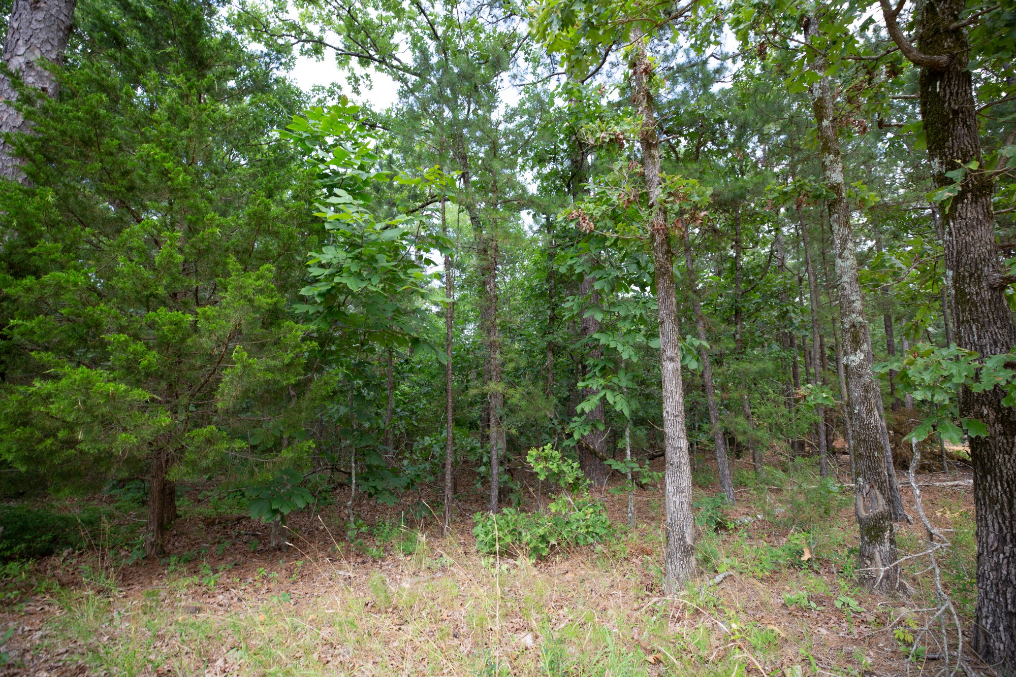 Tract 44 at Eagles Nest Ranch in Pushmataha County, Oklahoma