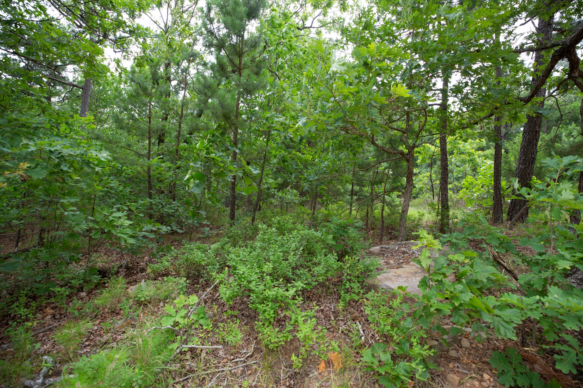 Tract 48 at Eagles Nest Ranch in Pushmataha County, Oklahoma