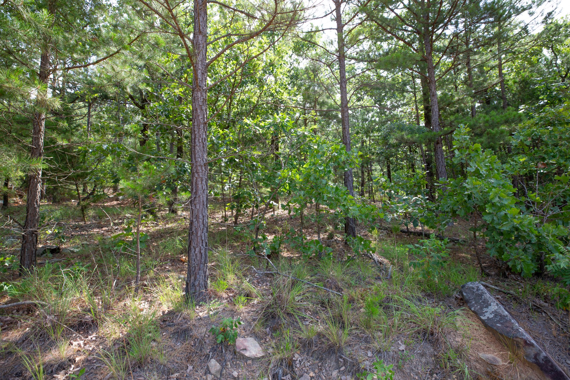 Tract 49 at Eagles Nest Ranch in Pushmataha County, Oklahoma