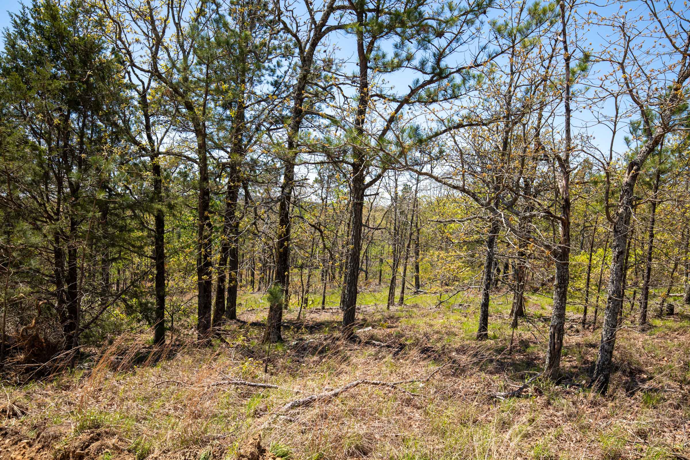 Tract 5 at Eagles Nest Ranch in Pushmataha County, Oklahoma