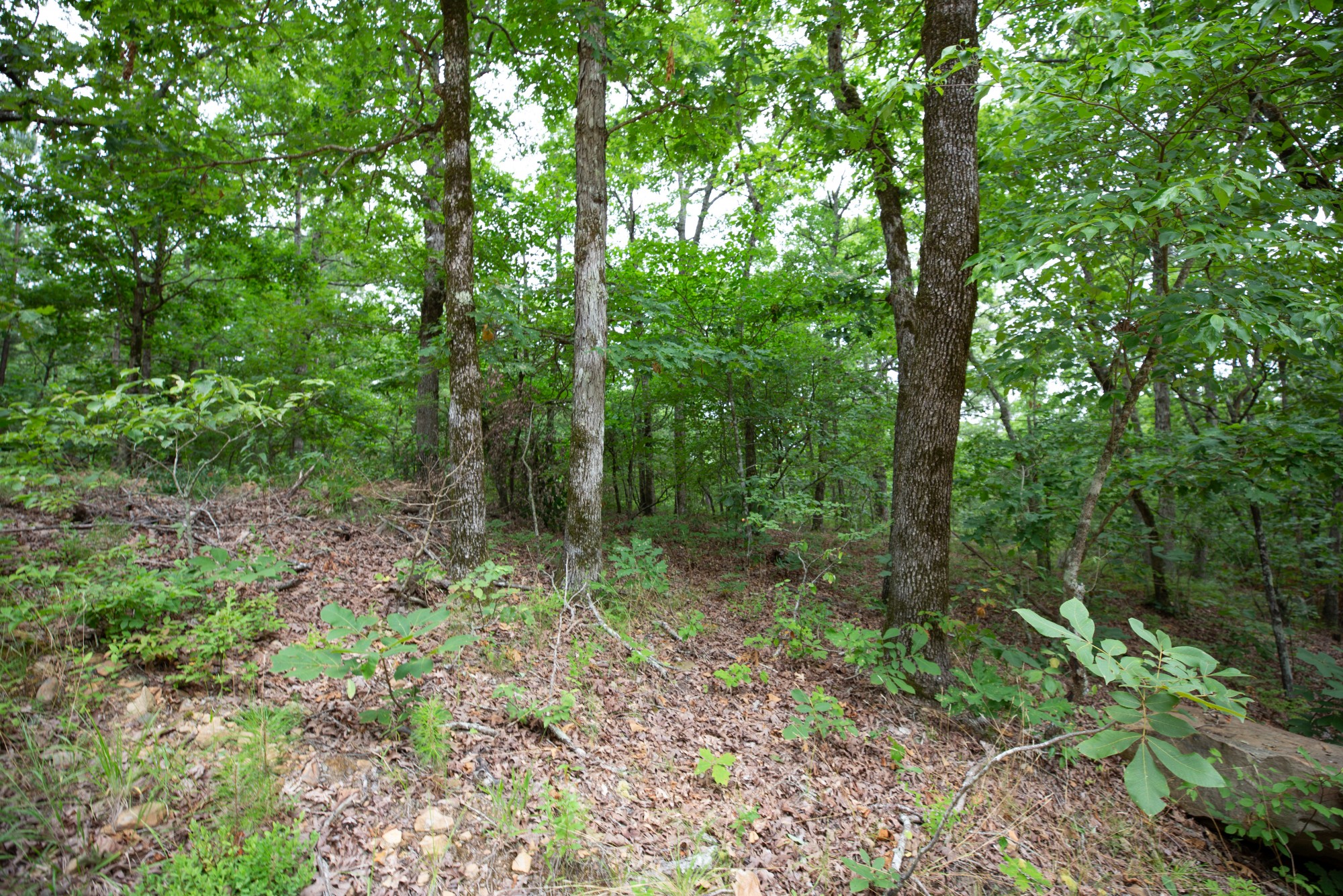 Tract 51 at Eagles Nest Ranch in Pushmataha County, Oklahoma