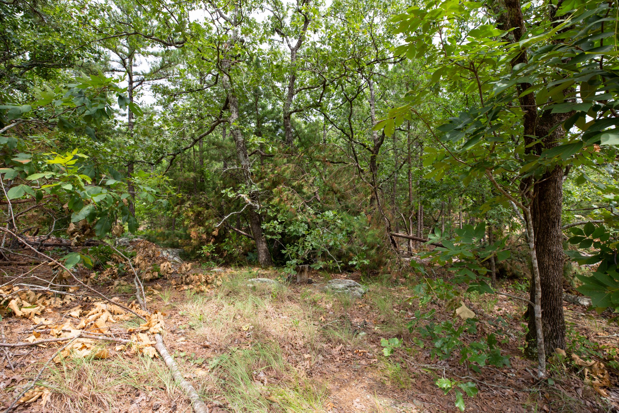 Tract 52 at Eagles Nest Ranch in Pushmataha County, Oklahoma