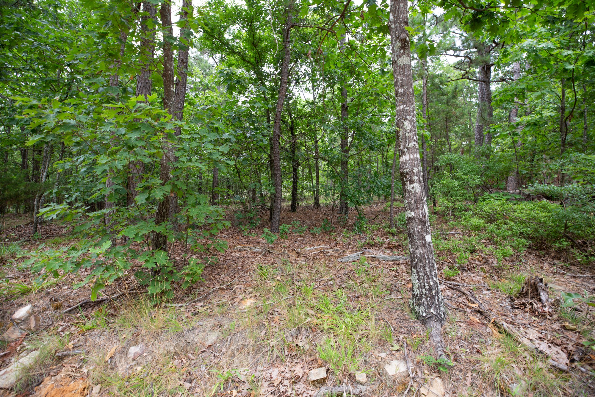 Tract 53 at Eagles Nest Ranch in Pushmataha County, Oklahoma