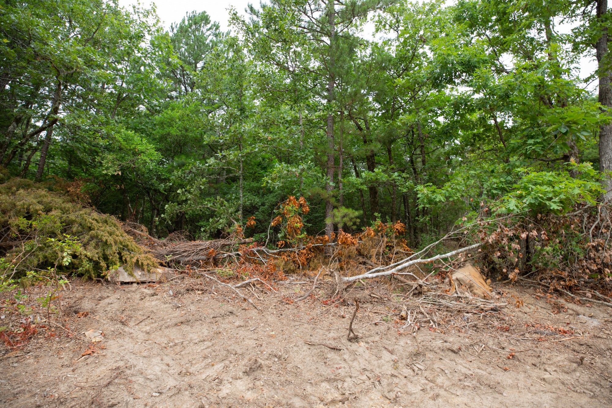Tract 54 at Eagles Nest Ranch in Pushmataha County, Oklahoma