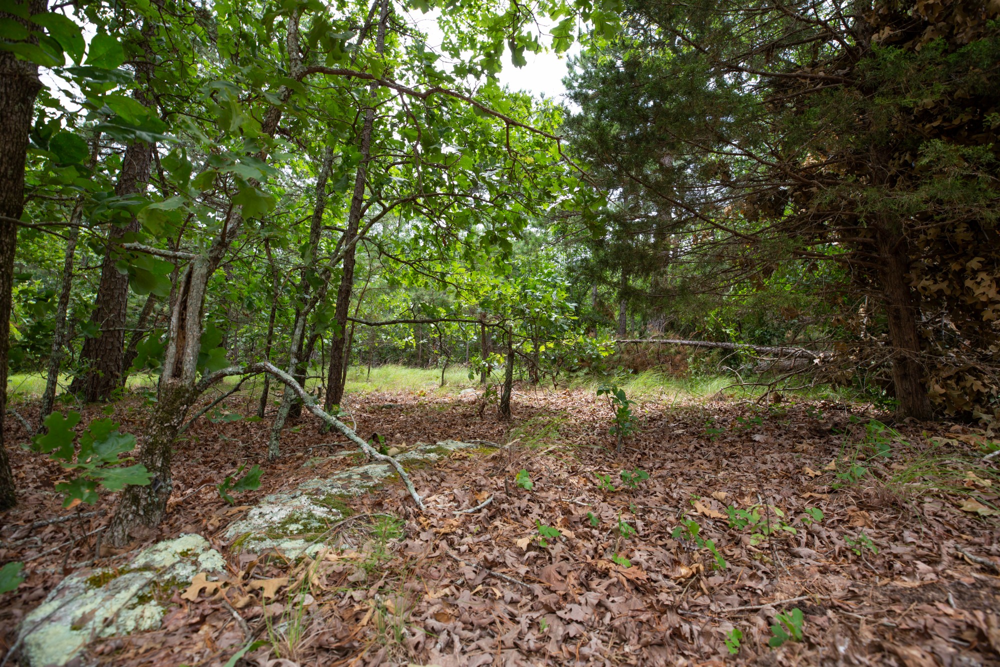 Tract 55 at Eagles Nest Ranch in Pushmataha County, Oklahoma