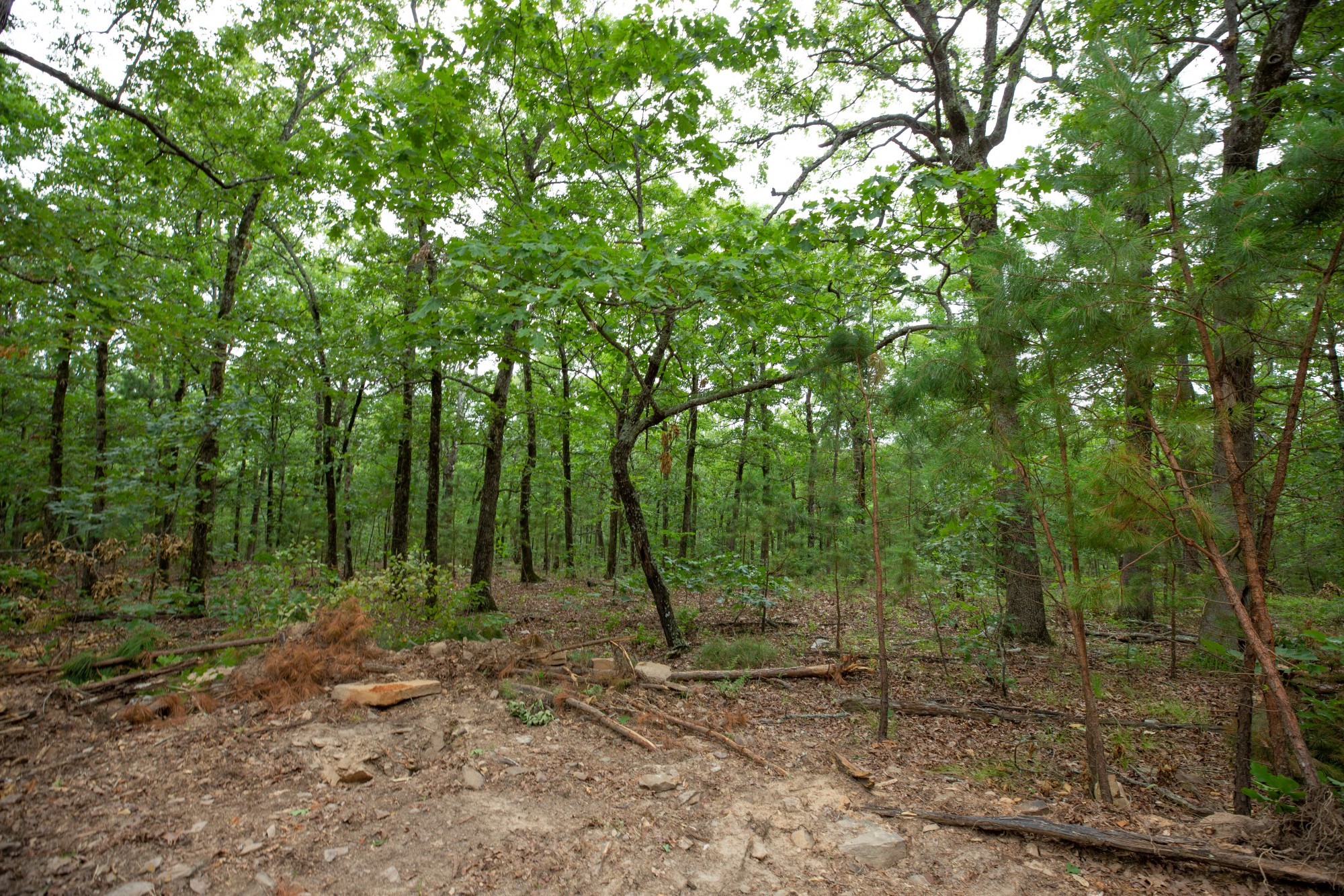 Tract 57 at Eagles Nest Ranch in Pushmataha County, Oklahoma