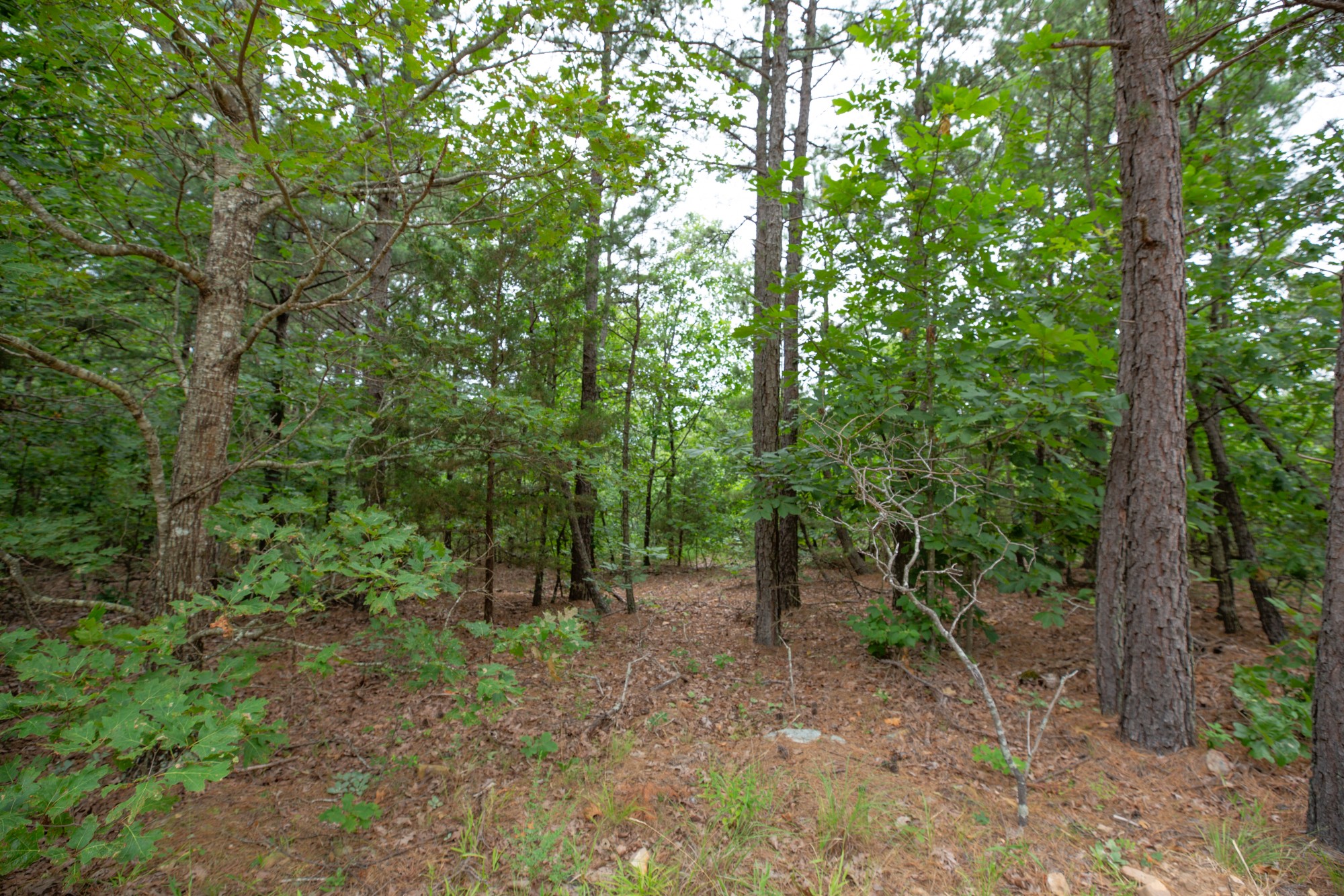 Tract 59 at Eagles Nest Ranch in Pushmataha County, Oklahoma