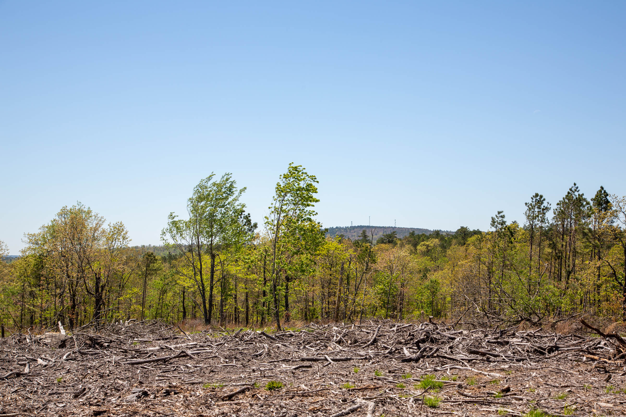 Tract 6 at Eagles Nest Ranch in Pushmataha County, Oklahoma