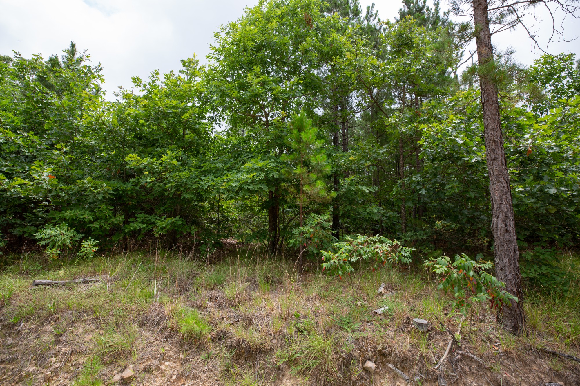 Tract 60 at Eagles Nest Ranch in Pushmataha County, Oklahoma