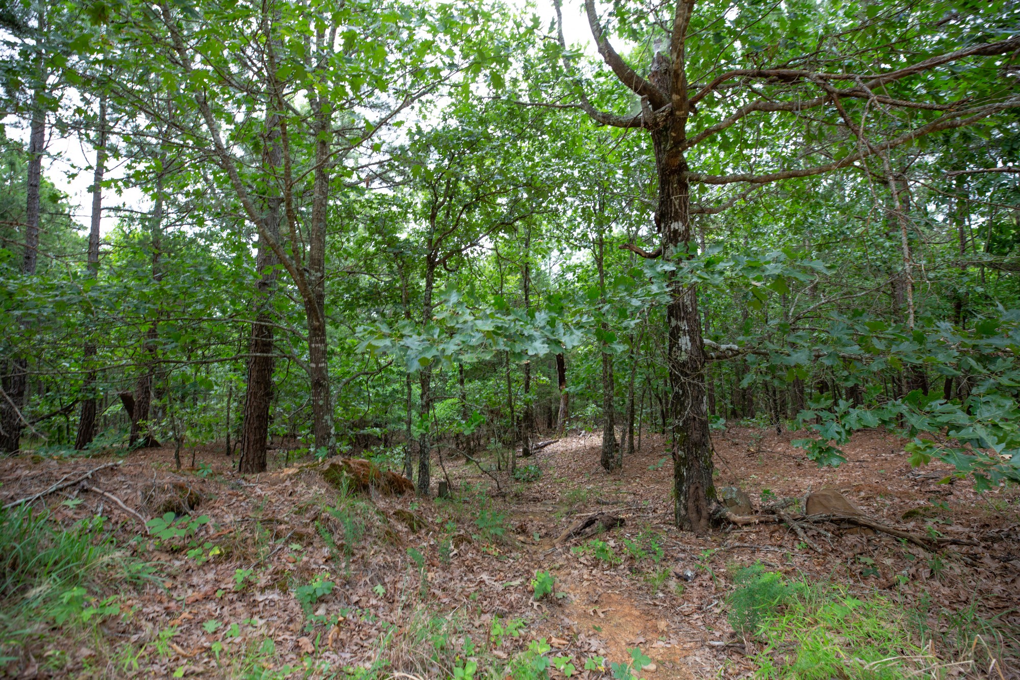 Tract 61 at Eagles Nest Ranch in Pushmataha County, Oklahoma