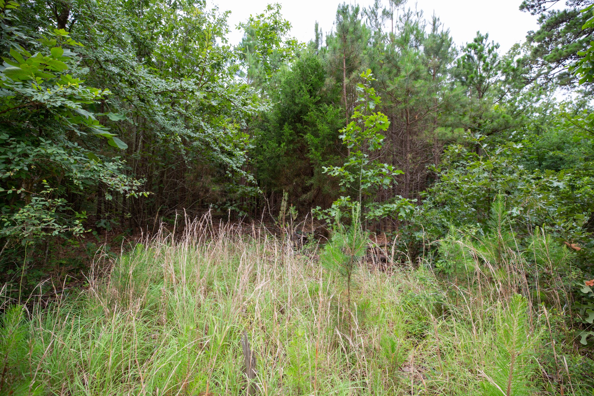 Tract 64 at Eagles Nest Ranch in Pushmataha County, Oklahoma