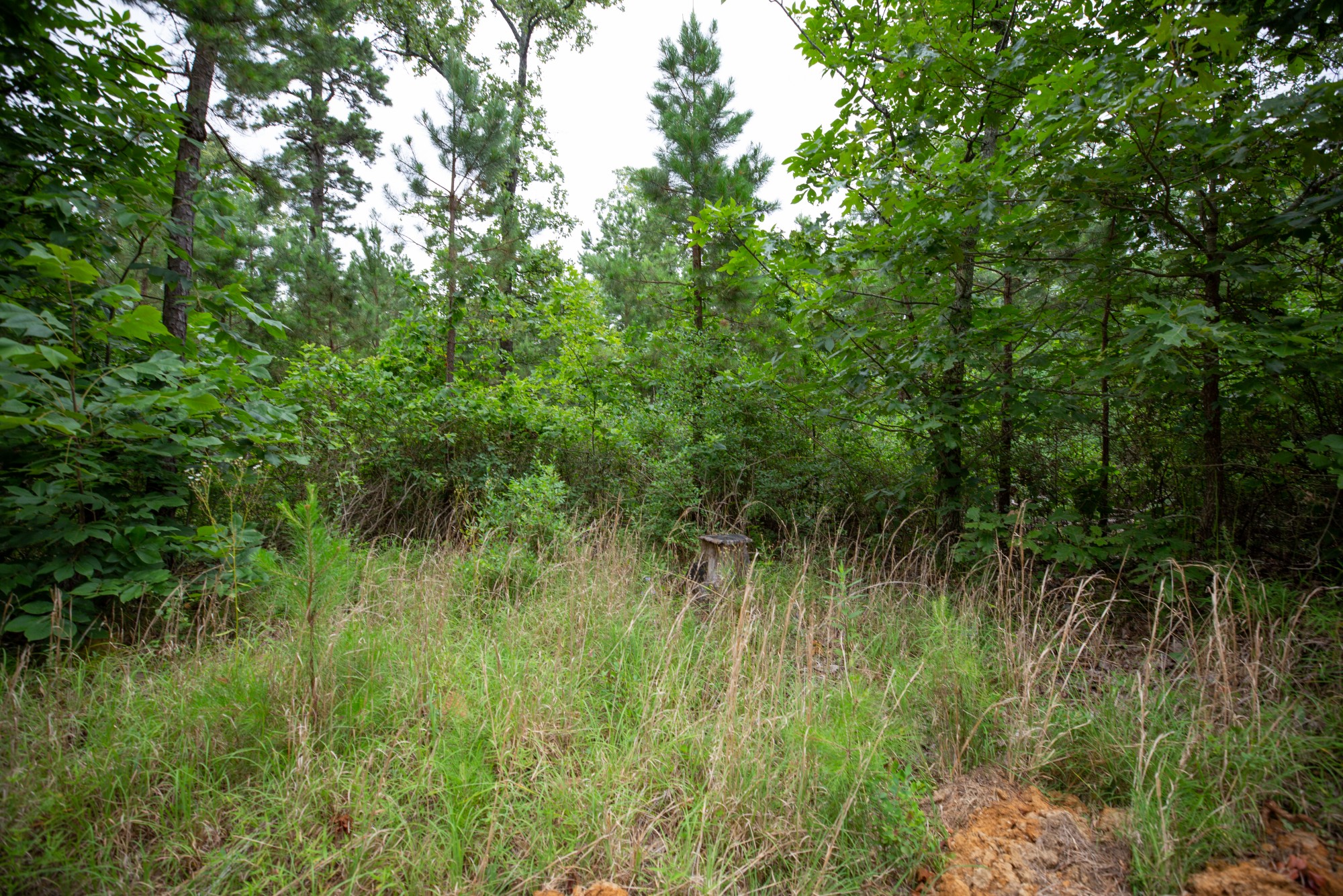 Tract 65 at Eagles Nest Ranch in Pushmataha County, Oklahoma