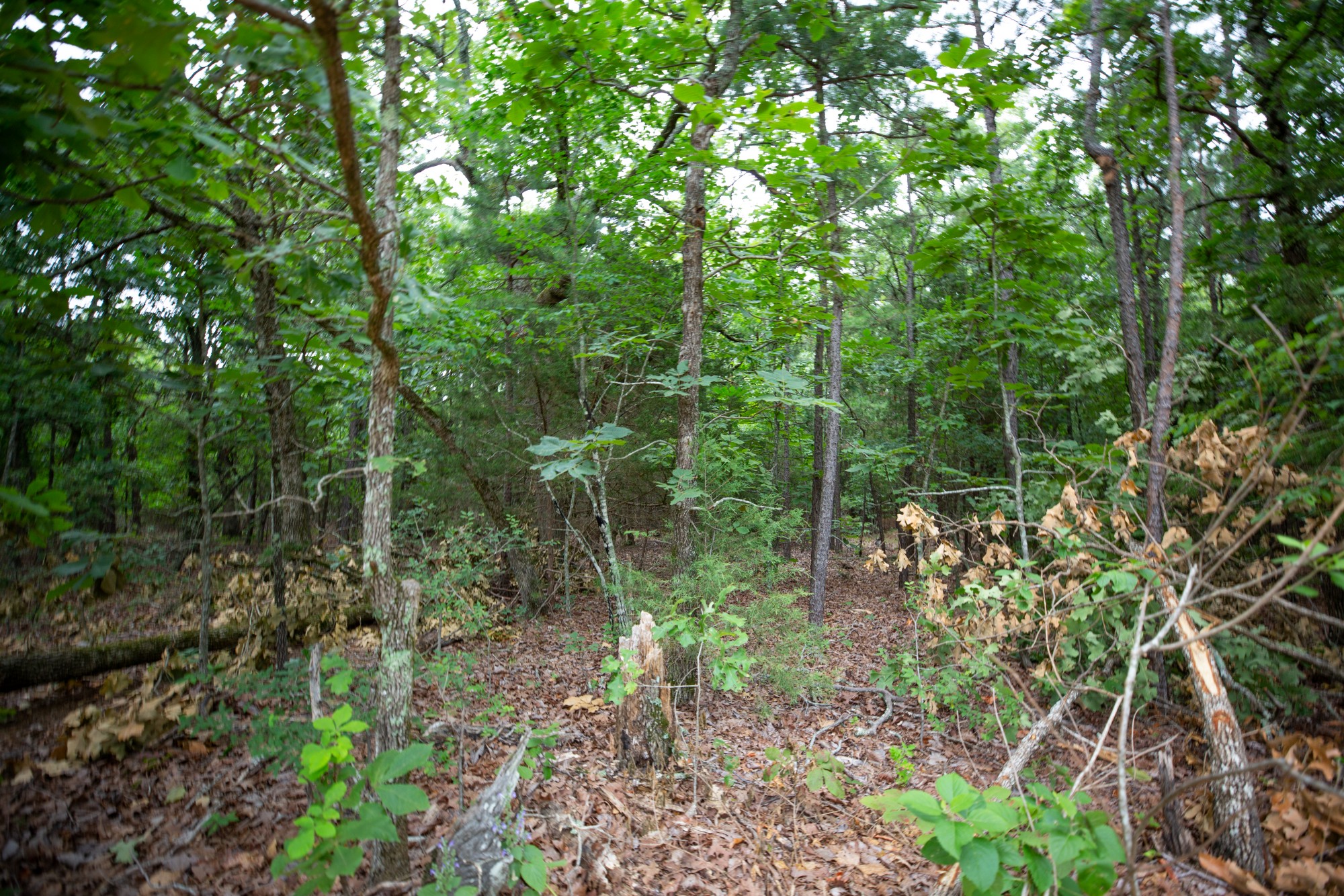 Tract 67 at Eagles Nest Ranch in Pushmataha County, Oklahoma
