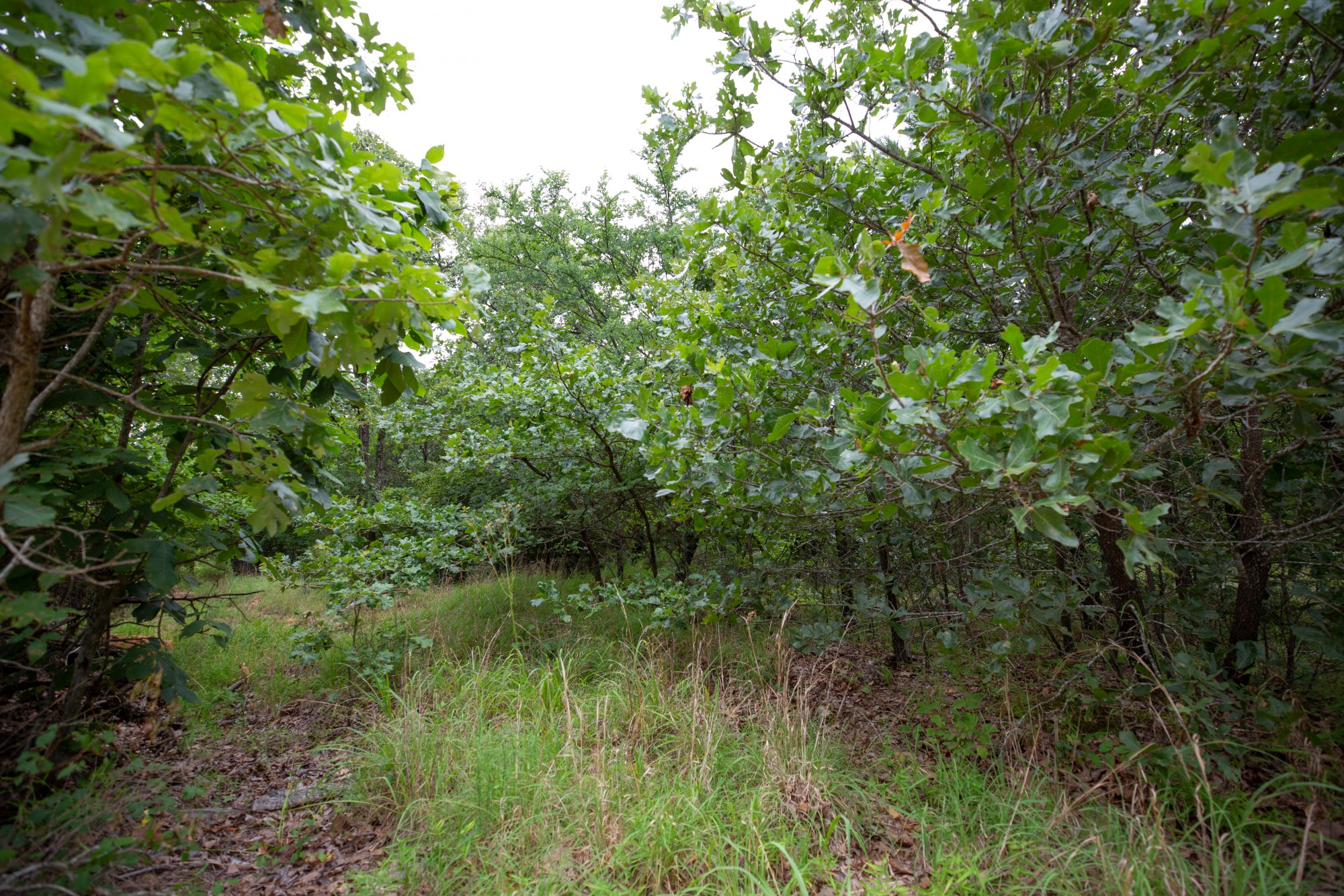 Tract 68 at Eagles Nest Ranch in Pushmataha County, Oklahoma