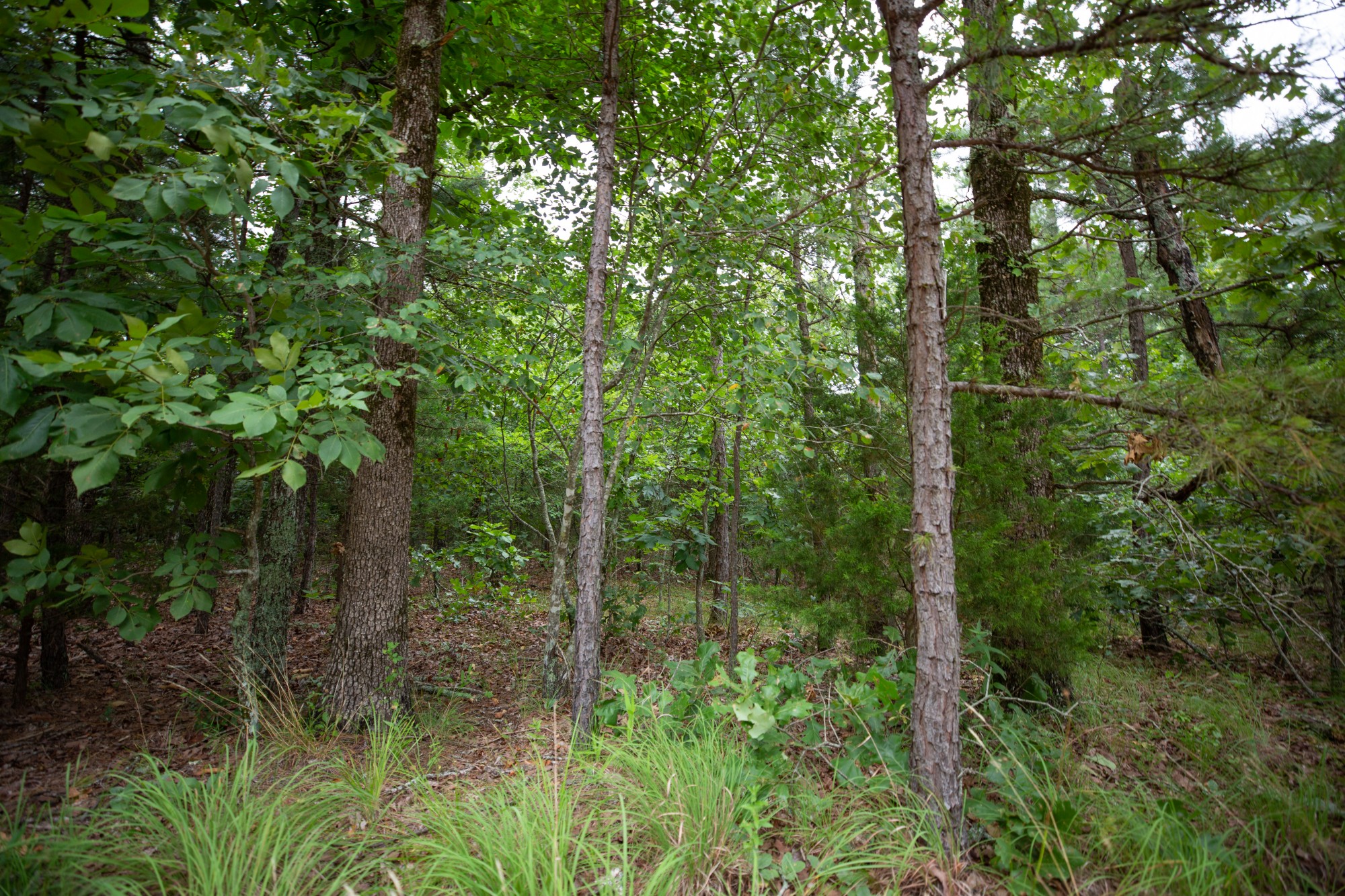 Tract 69 at Eagles Nest Ranch in Pushmataha County, Oklahoma