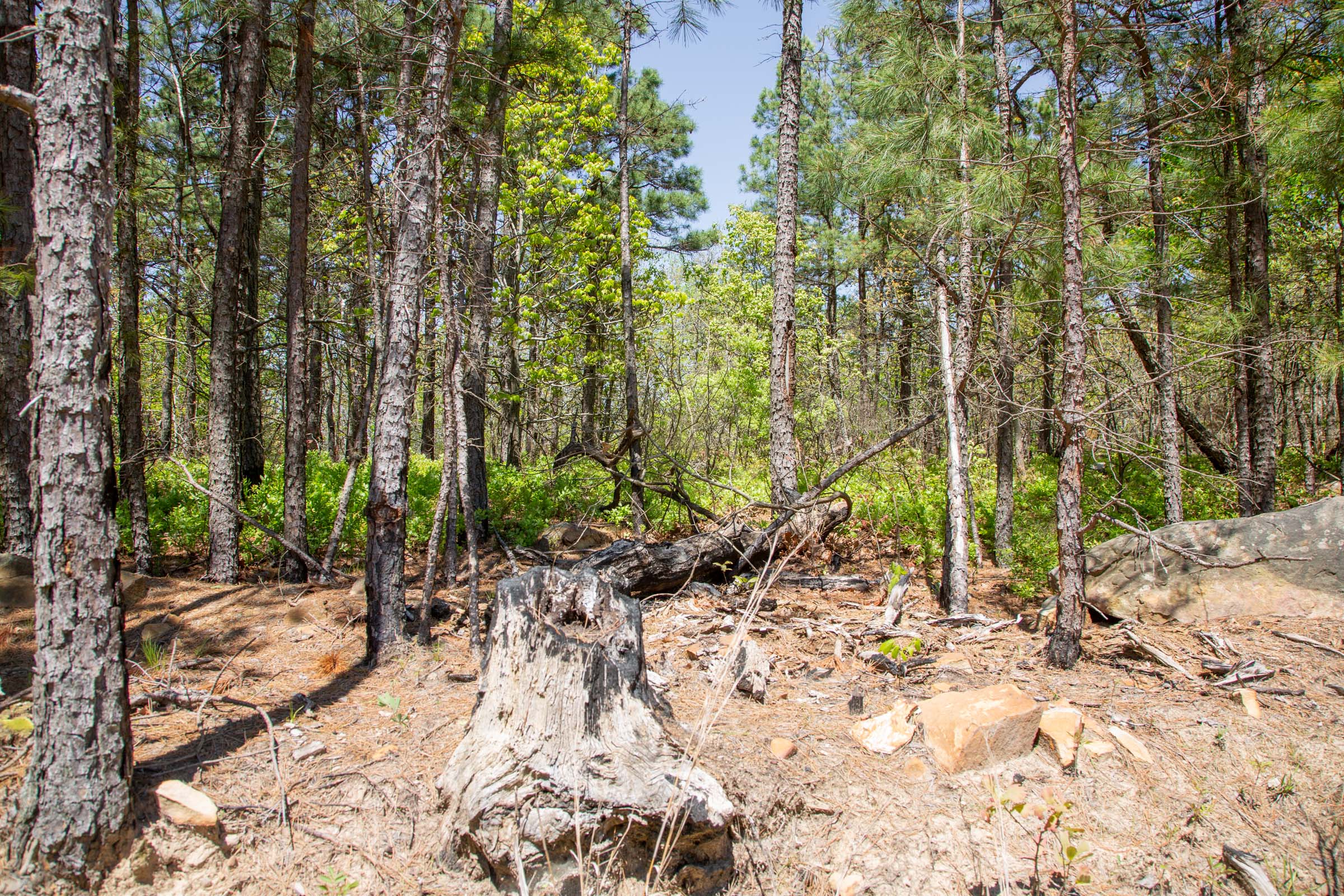 Tract 7 at Eagles Nest Ranch in Pushmataha County, Oklahoma