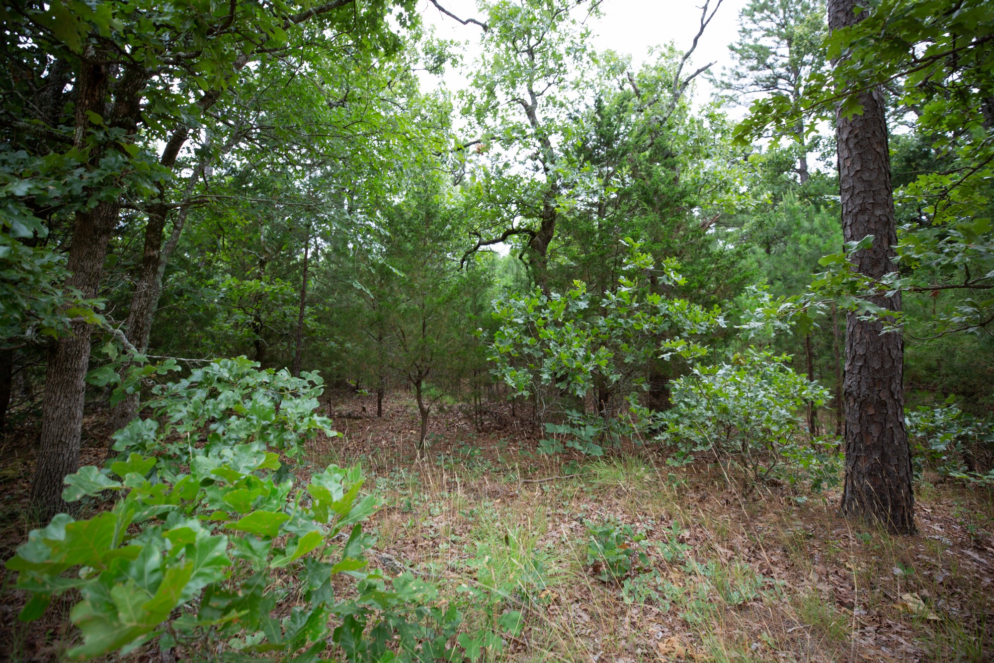 Tract 70 at Eagles Nest Ranch in Pushmataha County, Oklahoma