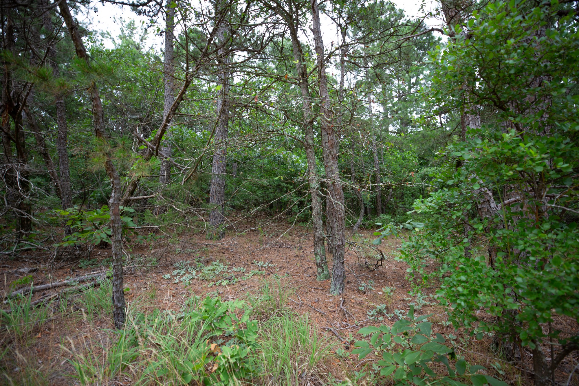Tract 71 at Eagles Nest Ranch in Pushmataha County, Oklahoma