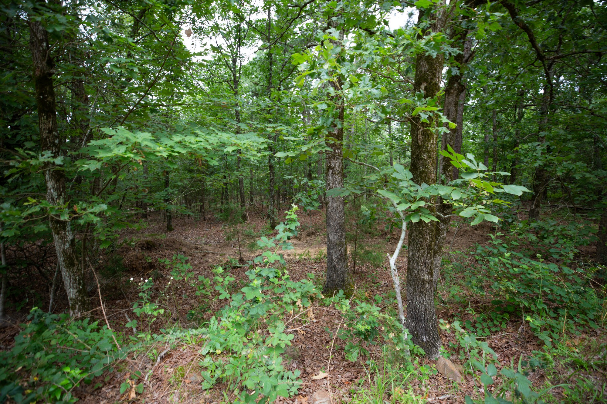 Tract 74 at Eagles Nest Ranch in Pushmataha County, Oklahoma